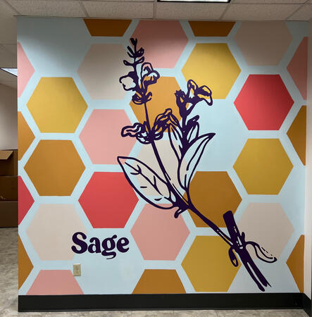 Murals for the Amplify Clinic and ACC East View with Chroma Collective